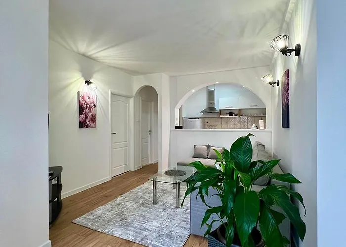New Luxe Apartments